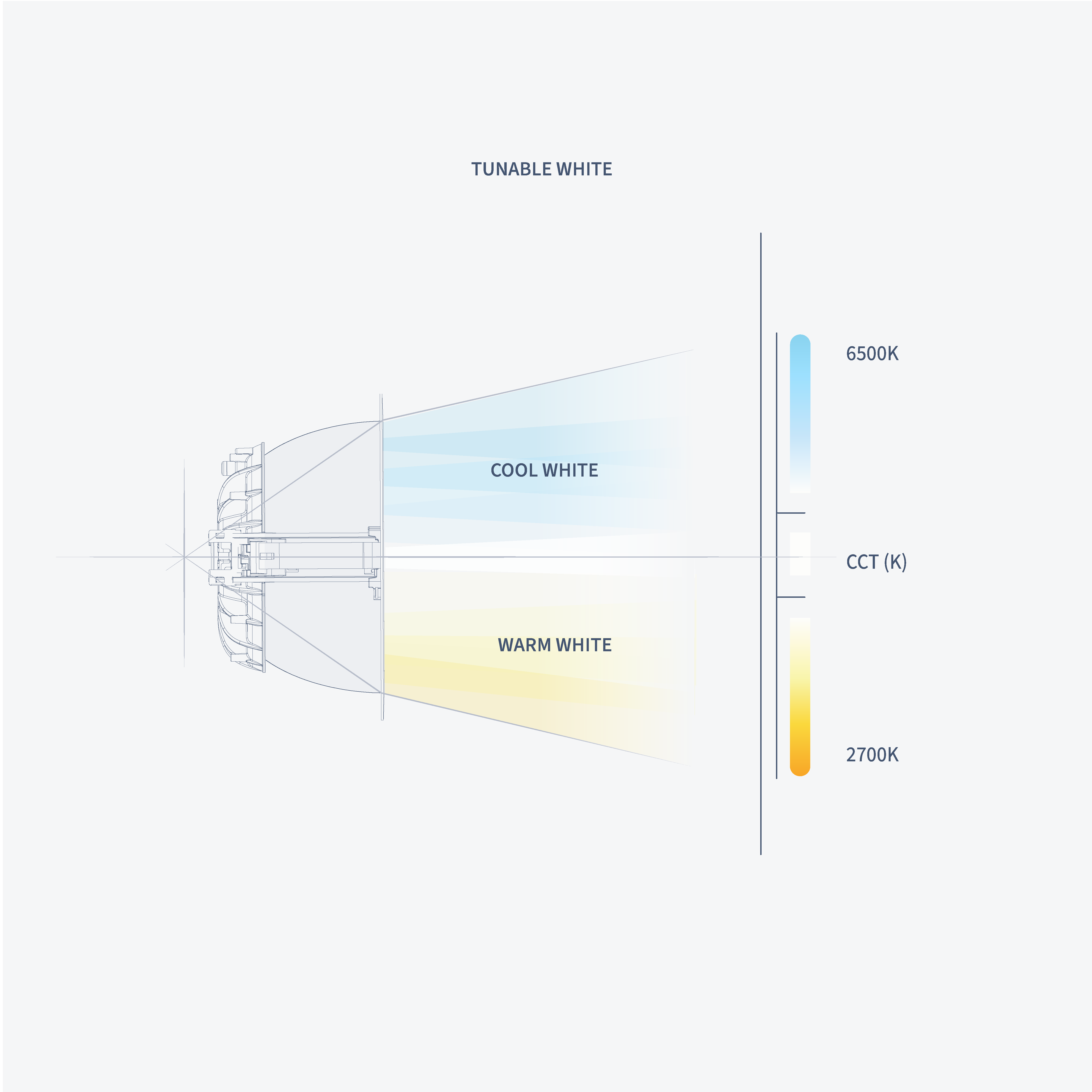3_knowledge_hub_color_experience_tunable_white.png